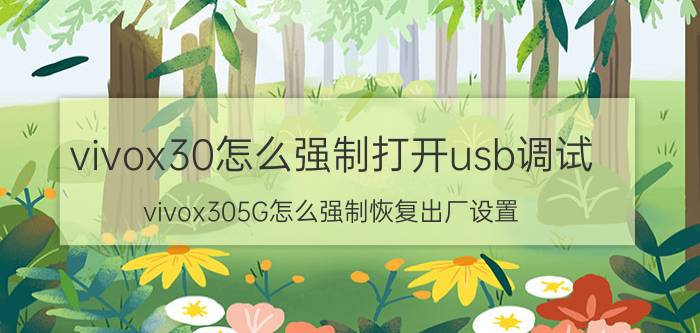 vivox30怎么强制打开usb调试 vivox305G怎么强制恢复出厂设置？